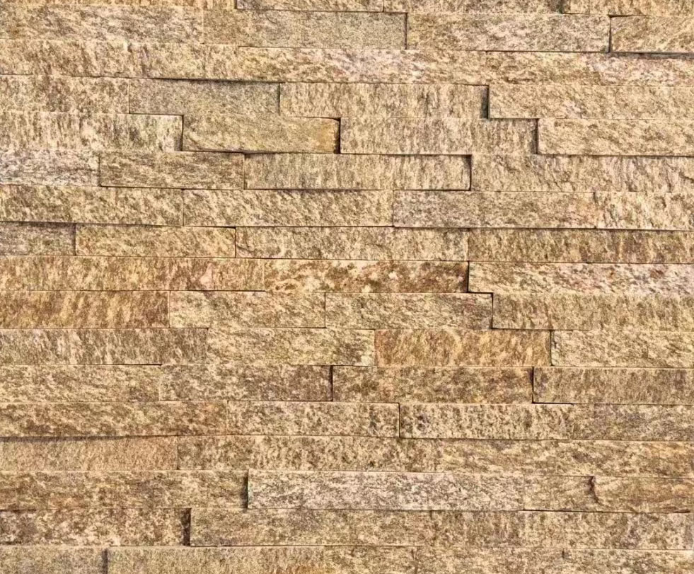1683298287994259.jpg
